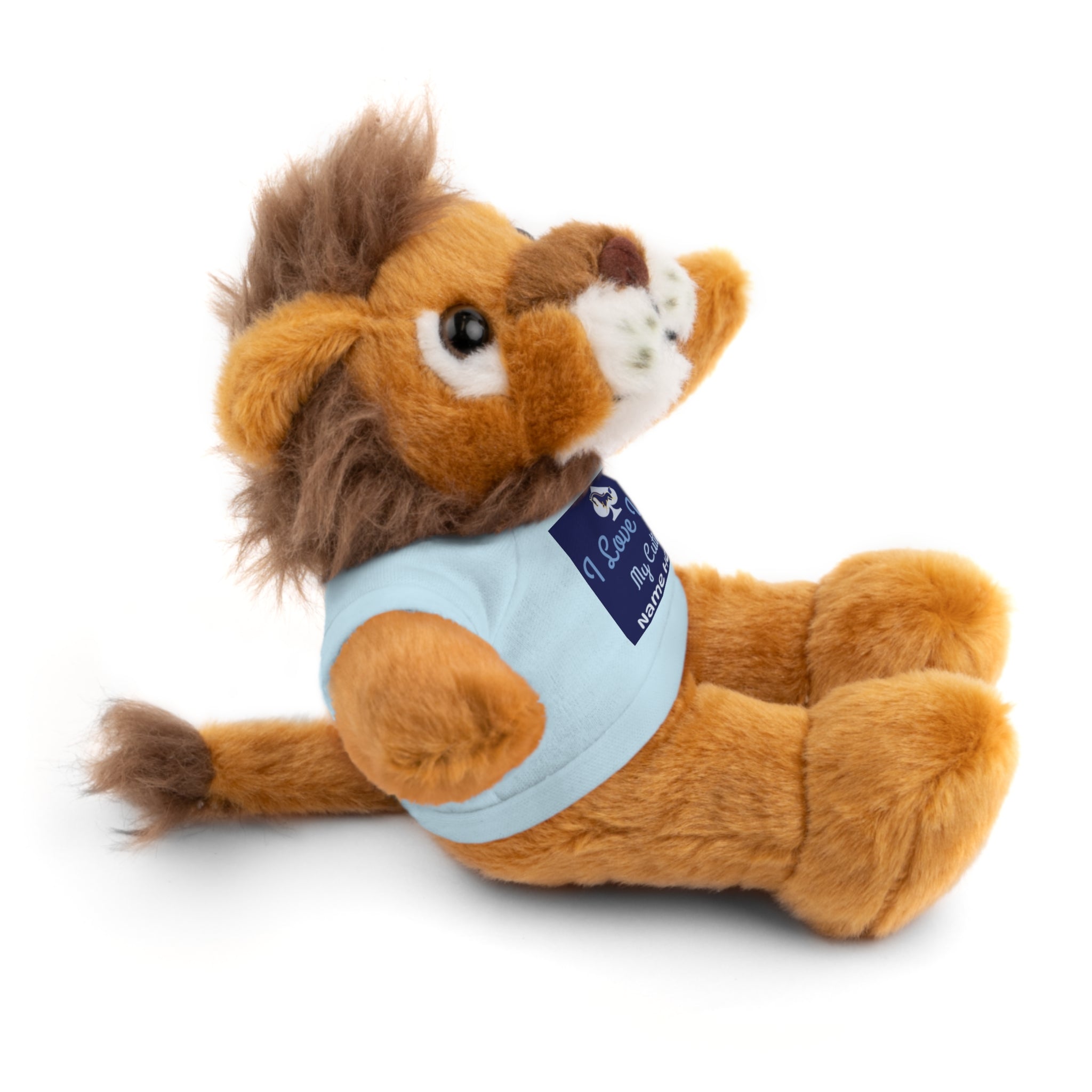 Personalized Teddy Bear with "I Love You" Tee