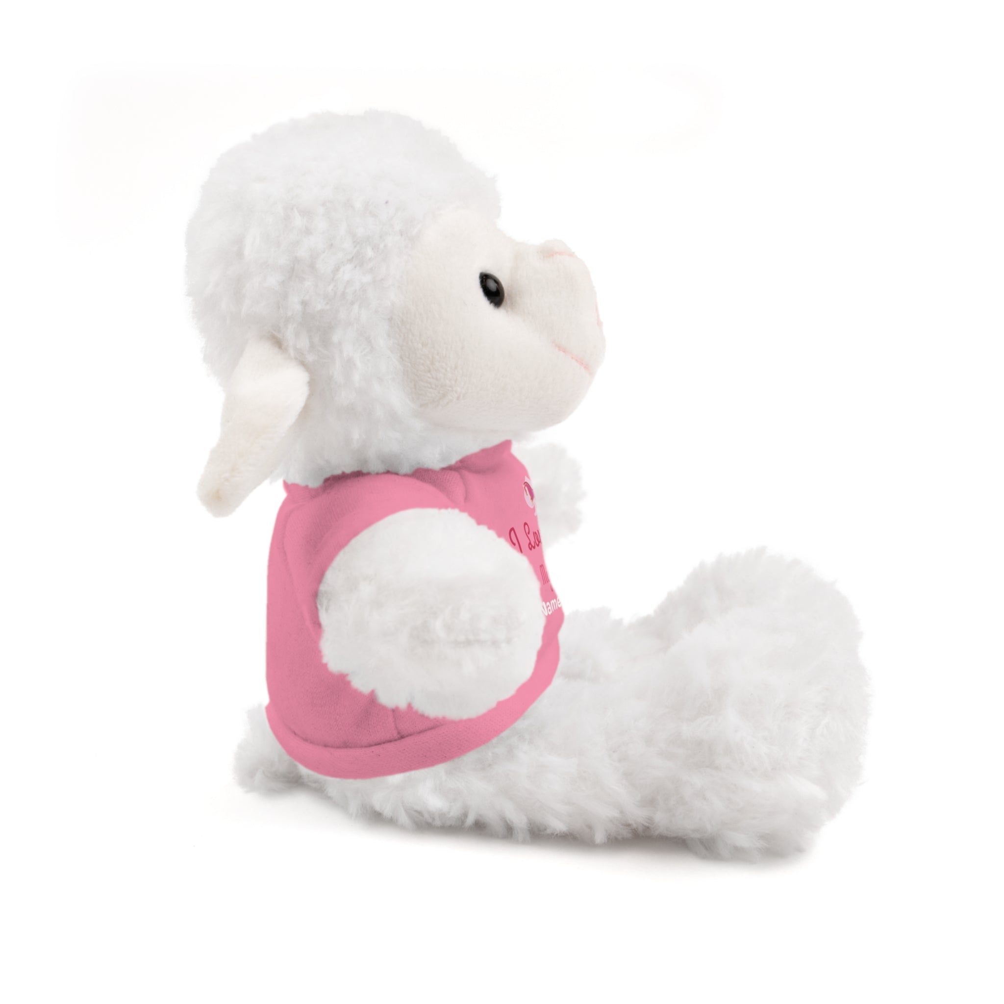 Personalized Teddy Bear with "I Love You" Tee