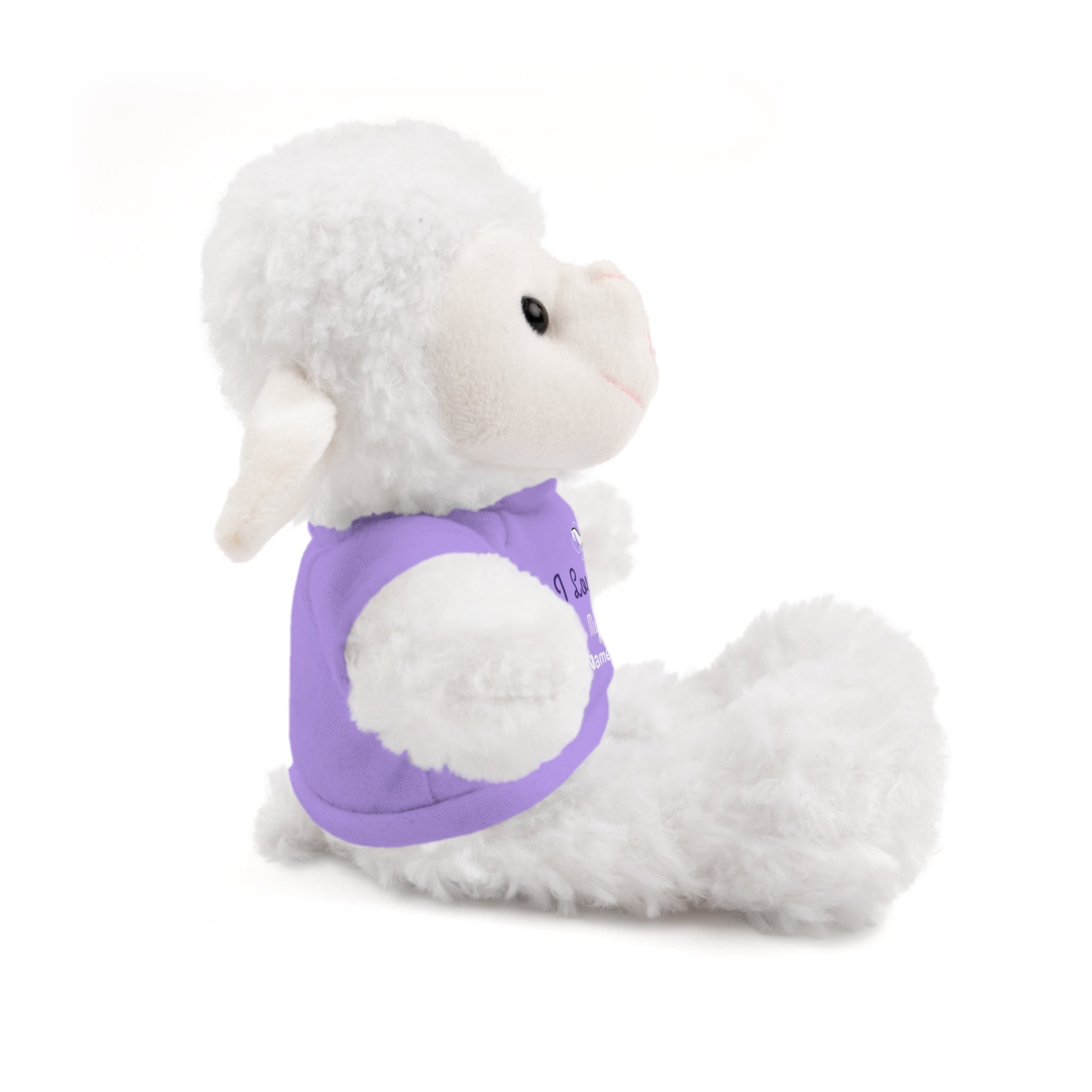 Personalized Teddy Bear with "I Love You" Tee