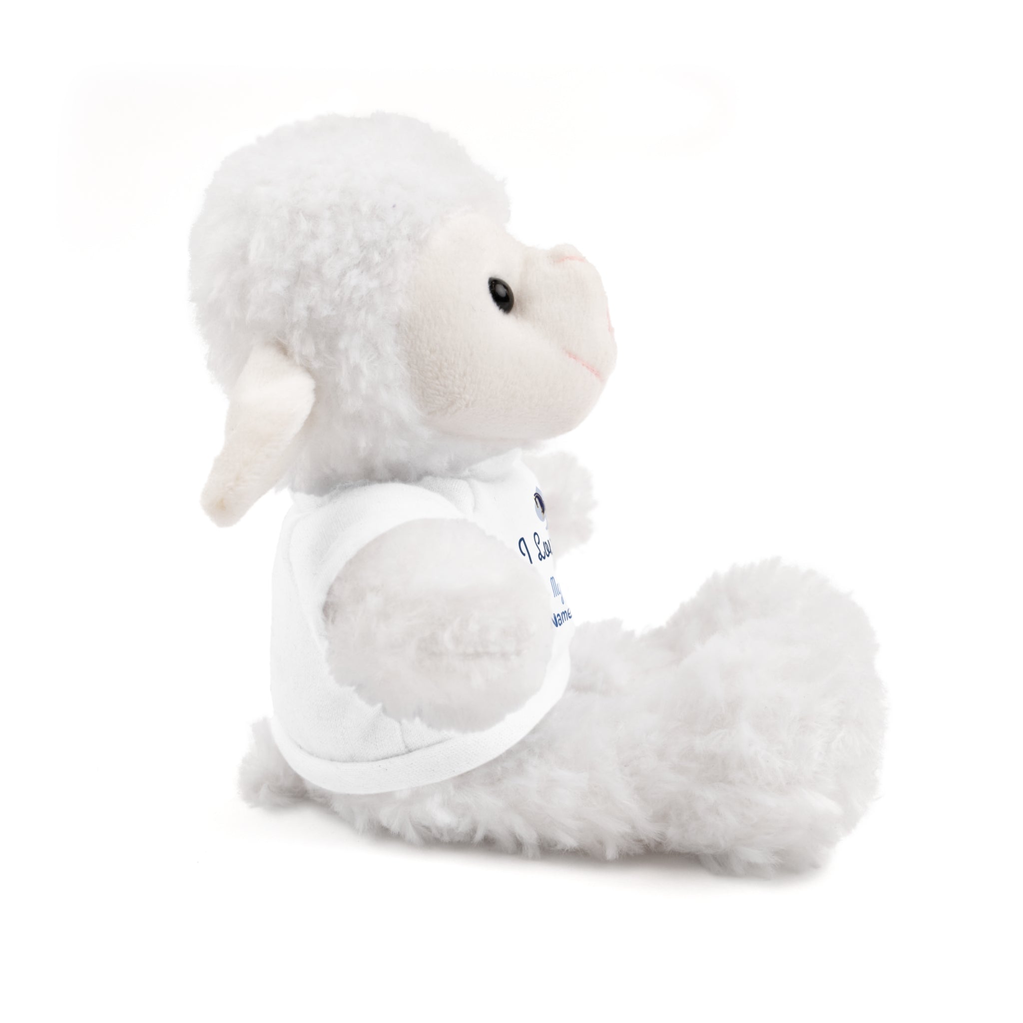 Personalized Teddy Bear with "I Love You" Tee