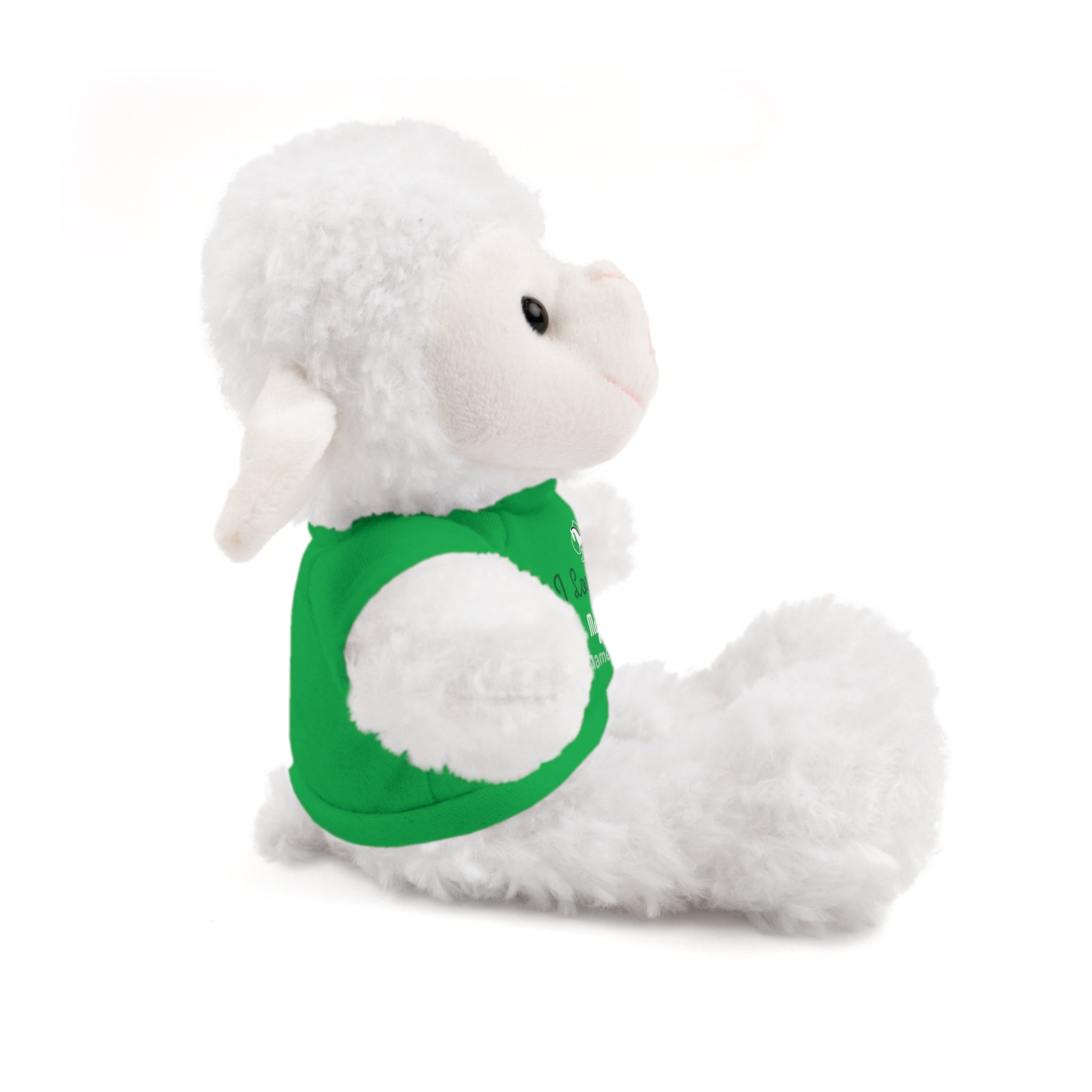 Personalized Teddy Bear with "I Love You" Tee