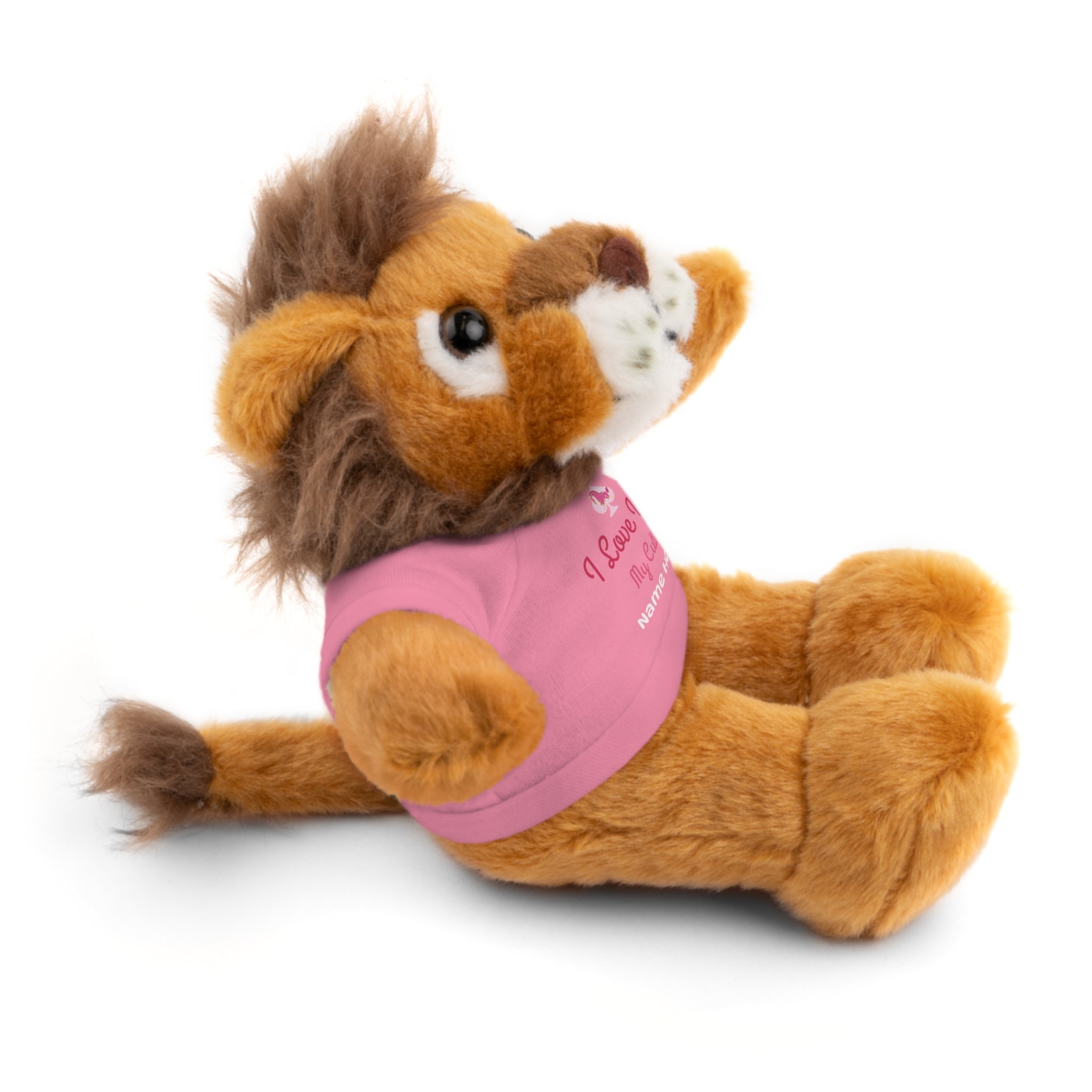 Personalized Teddy Bear with "I Love You" Tee