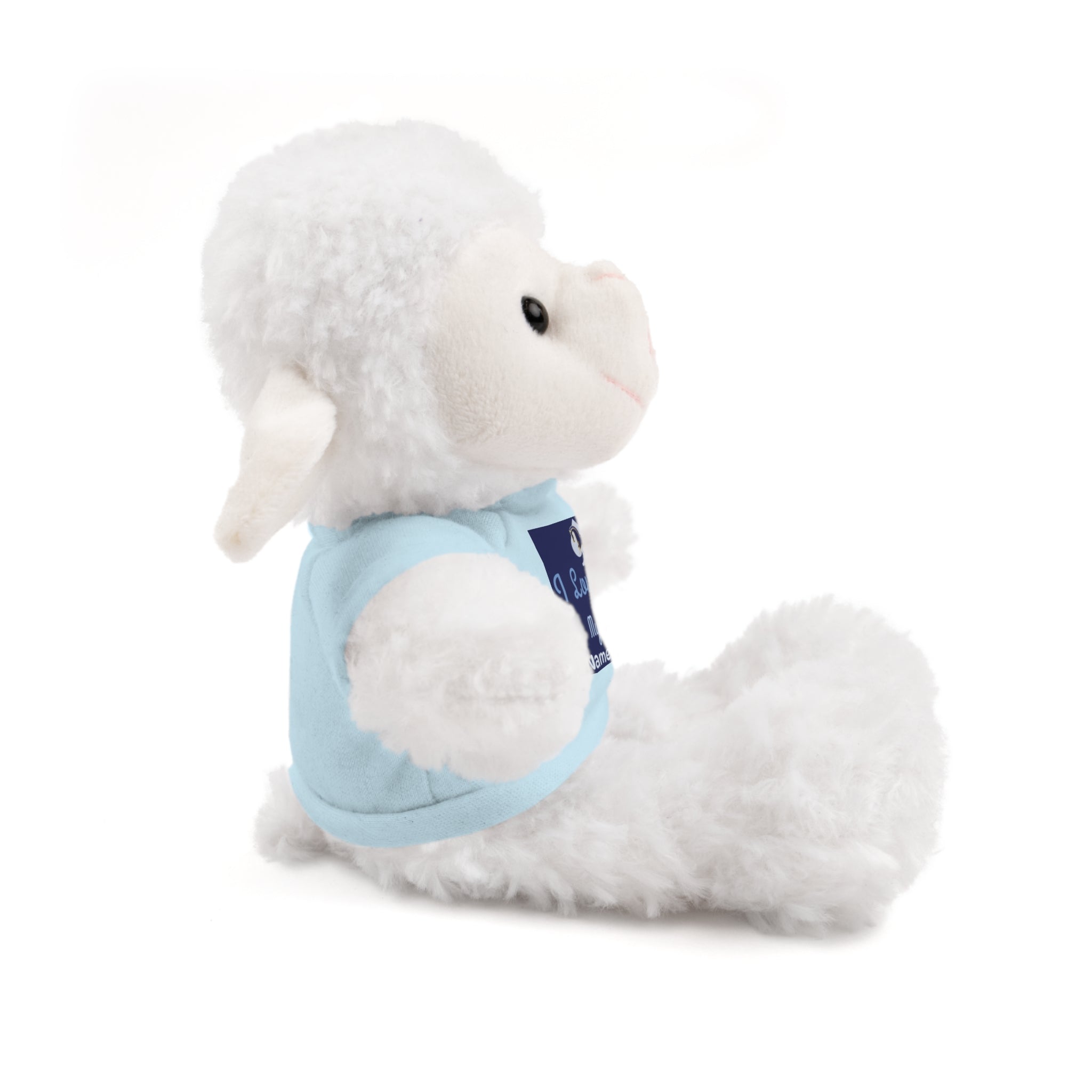 Personalized Teddy Bear with "I Love You" Tee