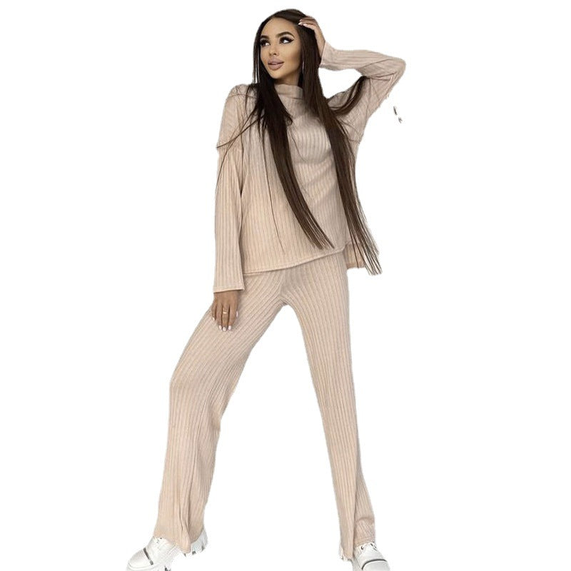 Two-piece Cross-border New Spring Leisure Slimming Solid Color Turtleneck Loose Knitted Long Sleeves Ladies