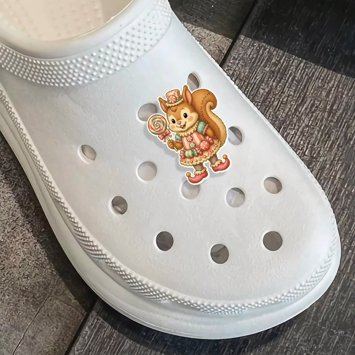 LolliSquirl Acrylic Shoe Charms