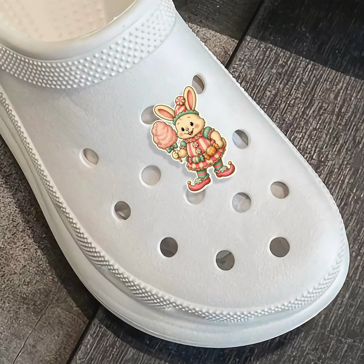 BunBon Shape Acrylic Shoe Charm